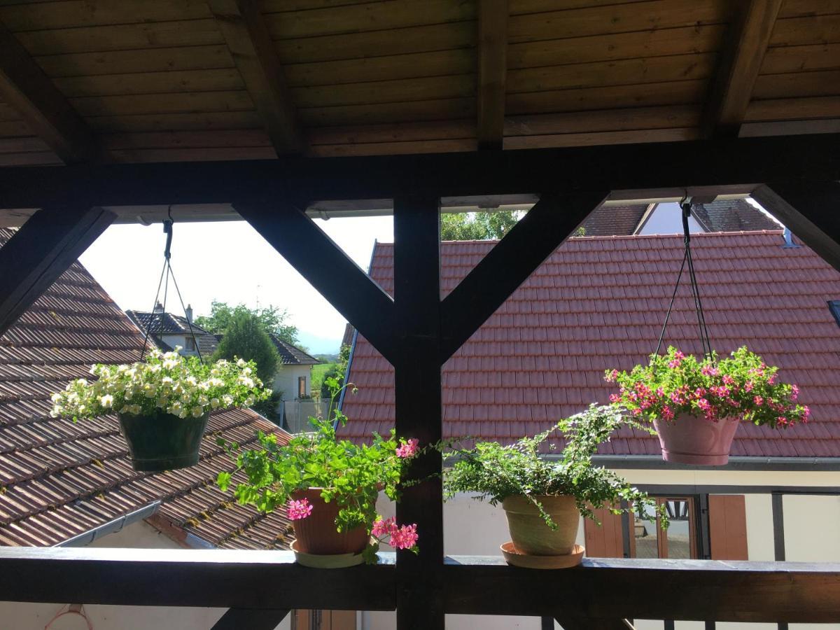Bienvenue En Alsace Apartment Huttenheim ภายนอก รูปภาพ
