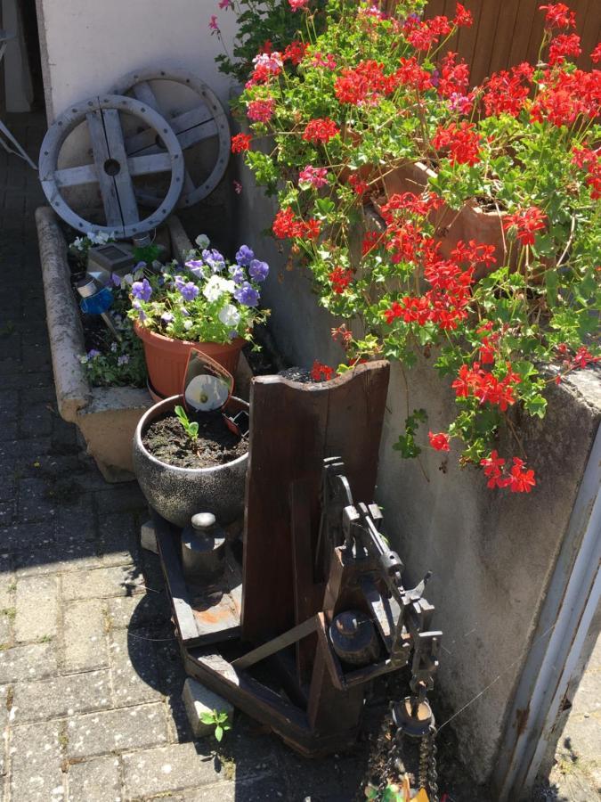 Bienvenue En Alsace Apartment Huttenheim ภายนอก รูปภาพ