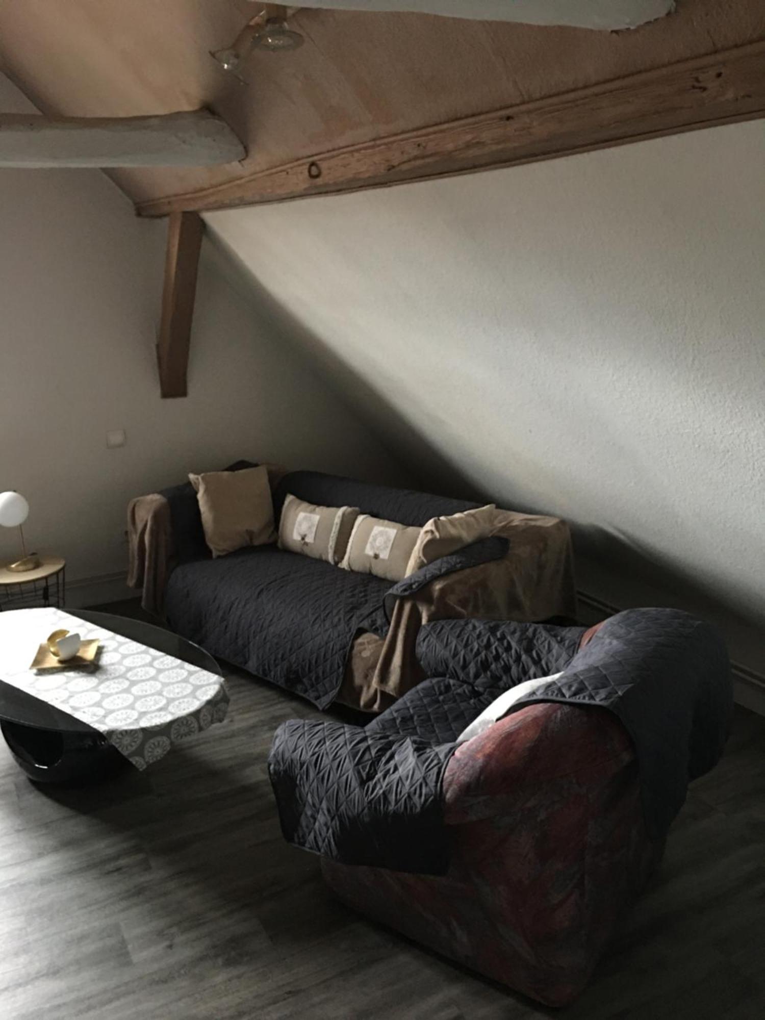 Bienvenue En Alsace Apartment Huttenheim ภายนอก รูปภาพ