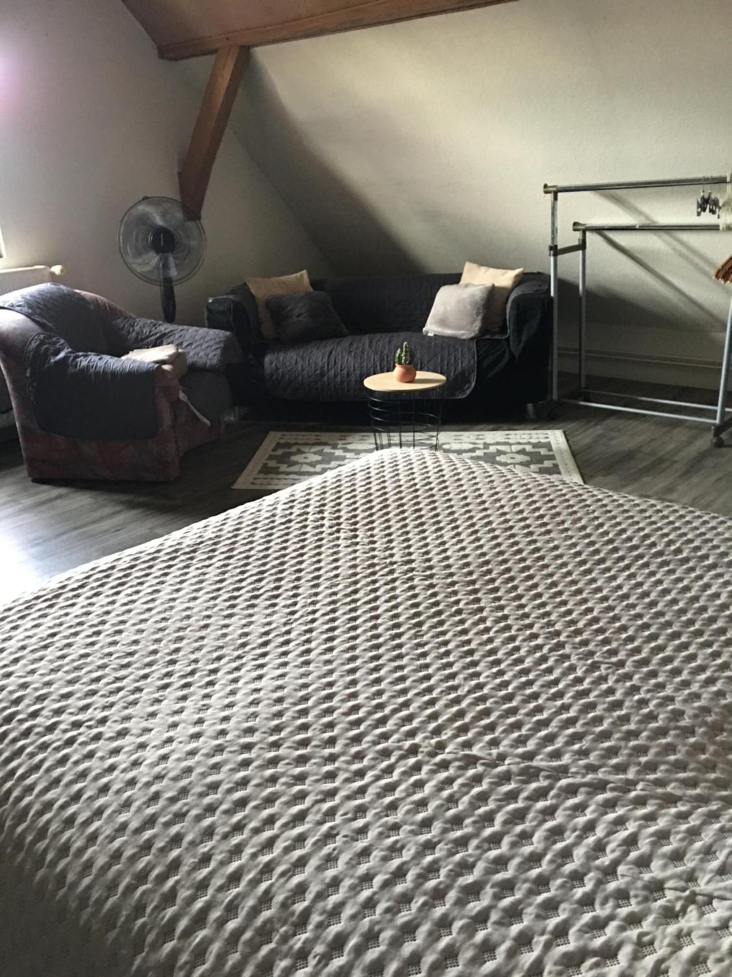 Bienvenue En Alsace Apartment Huttenheim ภายนอก รูปภาพ